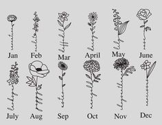 an image of flowers that are in the zodiac sign chart for march and july, as well as months