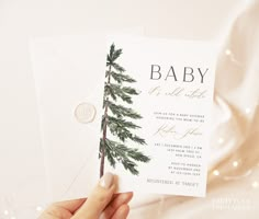 a person holding up a baby's birth card with a pine tree on it