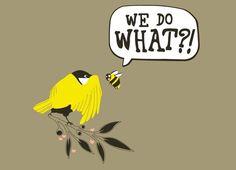 a yellow bird sitting on top of a tree branch with a speech bubble above it that says, we do what?