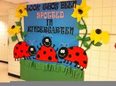 a bulletin board with ladybugs and sunflowers on it in a hallway