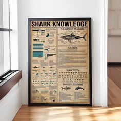 a poster is hanging on the wall in front of a window that reads shark knowledge