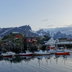 several boats are docked in the water near some houses and mountains with snow on them