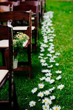 the aisle is lined with daisies and wooden chairs