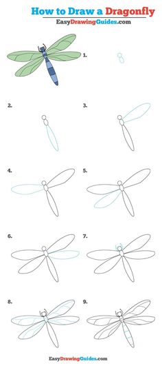 how to draw a dragonfly step by step drawing instructions for kids and beginners