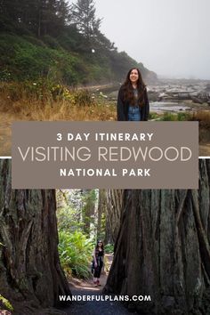 two women standing in the woods with text overlay reading 3 day itinerary visiting redwood national park