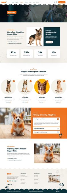 Billu - Pet Breeder & Adoption WordPress Theme Animal Adoption Website Design, Pet Adoption Website Design, Watermark Inspiration, Adoption Website, Website Layouts, Wix Website Design, News Letter