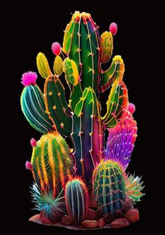 a group of colorful cactus plants on a black background