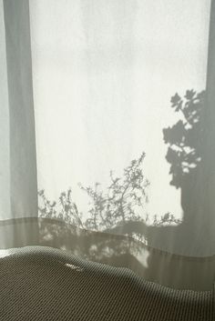 the shadow of a plant on a window sill in front of a white curtain