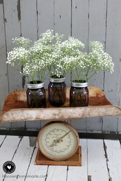 four mason jars with baby's breath in them sitting on a shelf next to a clock