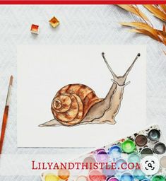 a drawing of a snail on paper next to watercolors and paintbrushes