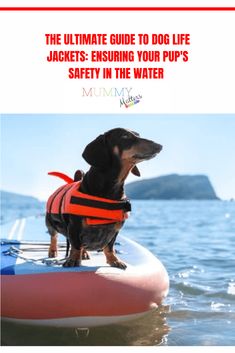 the ultimate guide to dog life jacketes - enviring your pup's safety in the water