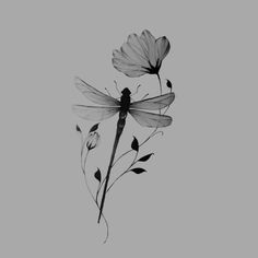 black and white photograph of two flowers with a dragonfly sitting on it's back