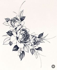 a black and white drawing of flowers with leaves on the bottom half of their petals