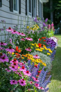 a row of colorful flowers in front of a white house with grass and trees behind it