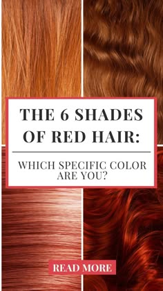 Redhead Going Grey, Shades Of Red Hair Chart, Copper Vs Auburn Hair, Red Hair Chart, Red Hair Shades Chart, Types Of Red Hair Shades, Different Types Of Red Hair, Make Up For Ginger Hair, Red Hair Types