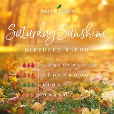 Saturday Sunshine, Diffuser Blends Young Living, Living Oils Recipes, Doterra Diffuser Blends, Essential Oil Diffuser Blends Recipes, Young Living Essential Oils Recipes, Essential Oils Guide, Essential Oil Diffuser Recipes, Essential Oil Blends Recipes