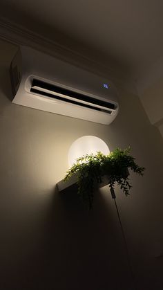 an air conditioner mounted on the wall next to a plant