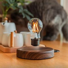 Bulb Levitation Lamp - Futura's Studio - Default Title - Hiasan Bilik Tidur, Mini Vacuum, Cool Gadgets For Men, Magnetic Levitation, Portable Fans, Floating Lights, Ride The Wave, Gadgets For Men, Decor Lamp