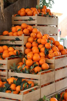 crates filled with oranges sitting on top of each other