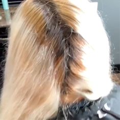 How To Get a Level 10 Ash Blonde Hair & Get Rid of Your Yellow or Golden Hair Once And For All! - Ugly Duckling Hair Thickening Remedies, Breakage Hair, Blonde Silver, Bleach Hair, Hair Bleach, Ash Brown Hair Color