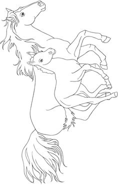 two horses are in the air with their tails spread out and one horse is standing on its hind legs