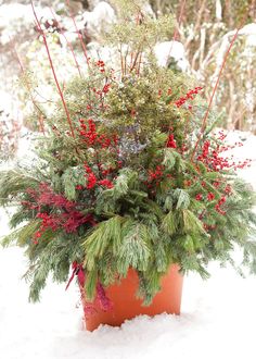 a potted plant in the snow with red berries and green leaves on it's side