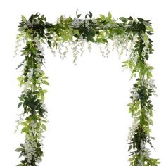 an arrangement of greenery on a white background