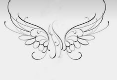 an artistic drawing of two wings on a white background