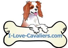 a brown and white dog laying on top of a bone shaped sign that says i - love - cavaliers com