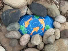 a blue frisbee sitting on top of some rocks and leaves in the grass