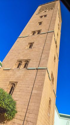 a tall brick building with many windows on it's sides and a tree in the foreground