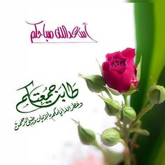 an arabic greeting card with a pink rose