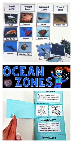 an ocean zone worksheet with pictures and text