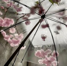 an open umbrella with pink flowers on the inside and outside, in front of a window