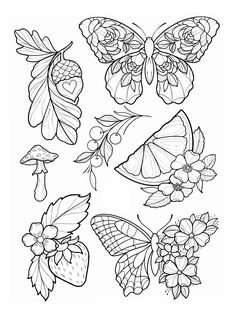 butterflies and flowers coloring pages for kids