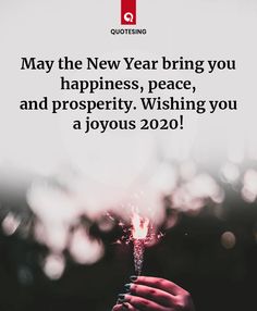 someone holding a sparkler with the words, may the new year bring you happiness, peace and prosperity wishing you a joyous 2020