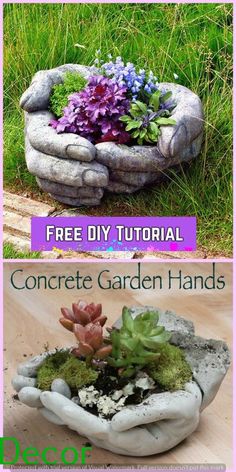 two pictures showing how to make a garden planter with rocks and plants in it