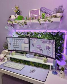 two computer monitors sitting on top of a desk in front of a purple wall with plants