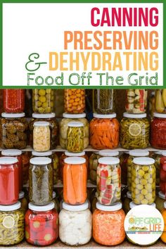 canning and dehydrating food off the grid book cover with jars full of canned vegetables