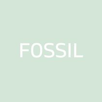 the word fossil is written in white on a pale green background, with an image of a