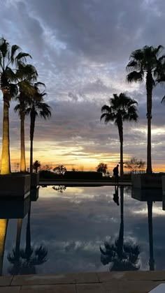 palm trees are reflected in the pool at sunset