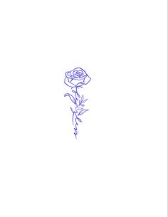 a drawing of a single rose on a white background with blue lines in the middle