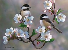 two birds sitting on top of a tree branch with white flowers