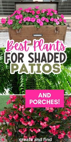 Collage of spring plants and flowers for shaded porches and covered patios.