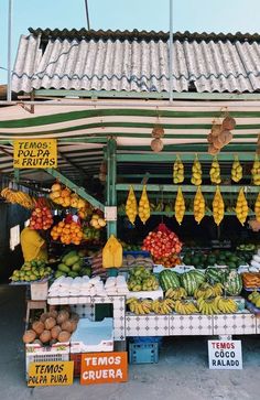 an outdoor fruit stand with bananas, oranges, and other fruits hanging from the roof