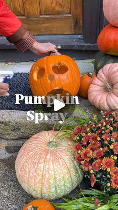 someone carving pumpkins on the steps with flowers and plants around them in front of a door