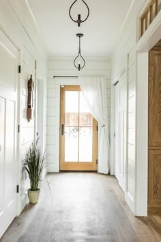 an empty hallway with white walls and wooden doors, potted plant on the floor