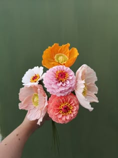 a person's hand holding flowers in front of a green background with white and yellow petals