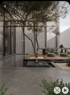 a tree in the middle of a courtyard with water running from it and two couches on either side