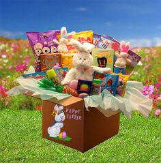 a box filled with lots of candy and stuffed animals on top of a grass covered field